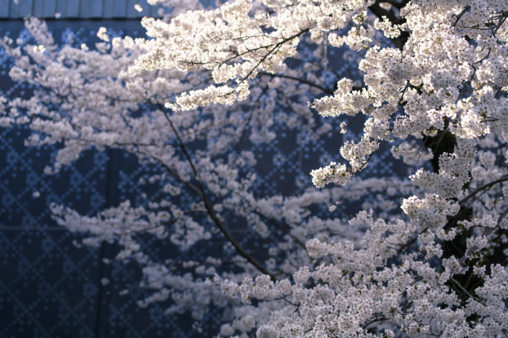 東京都目黒区の住みやすさと住みにくさについて