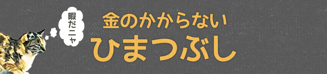 金のかからない暇つぶし